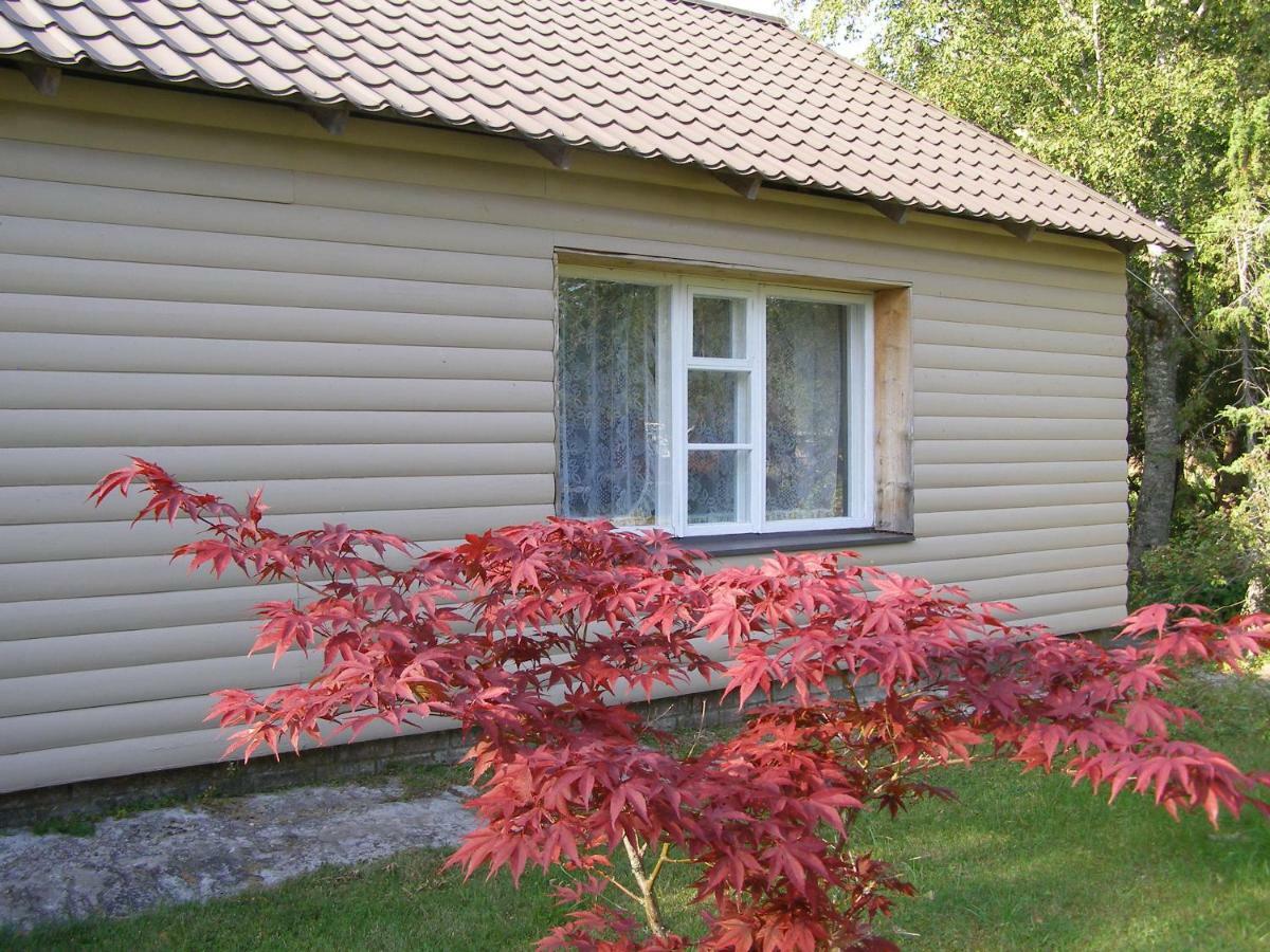 Kipi-Koovi Holiday Centre Luaran gambar